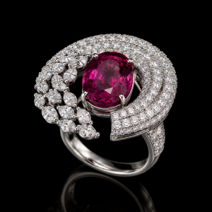 Collections 538B6380 445F 4A27 B2DB 8509E29DDFE7 300x300